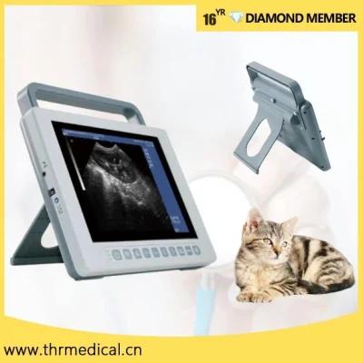 Instrument de diagnostic vétérinaire à ultrasons pour petits animaux avec sonde microconvexe